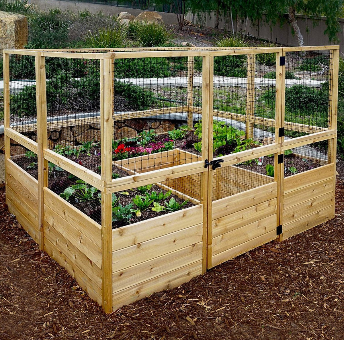 Outdoor Living Today Garden in a Box with Deer Fence | 8×8
