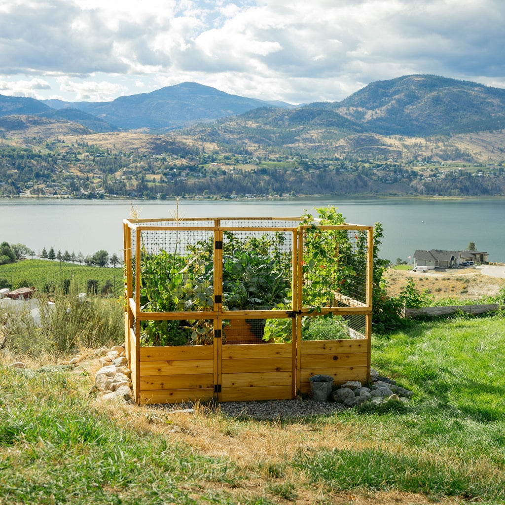 Outdoor Living Today Garden in a Box with Deer Fence | 8×8