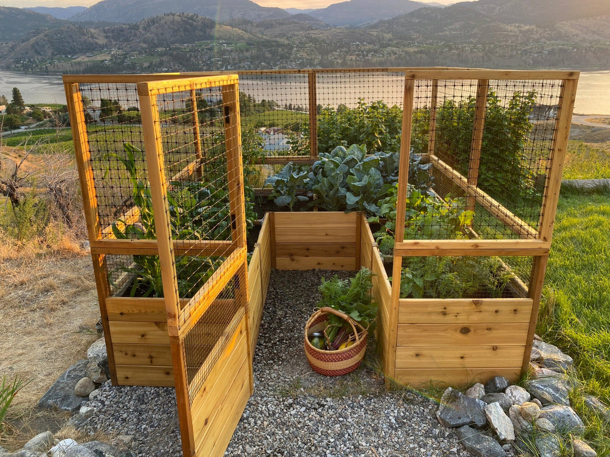 Outdoor Living Today Garden in a Box with Deer Fence | 8×8