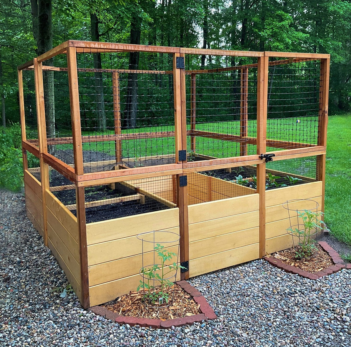 Outdoor Living Today Garden in a Box with Deer Fence | 8×8