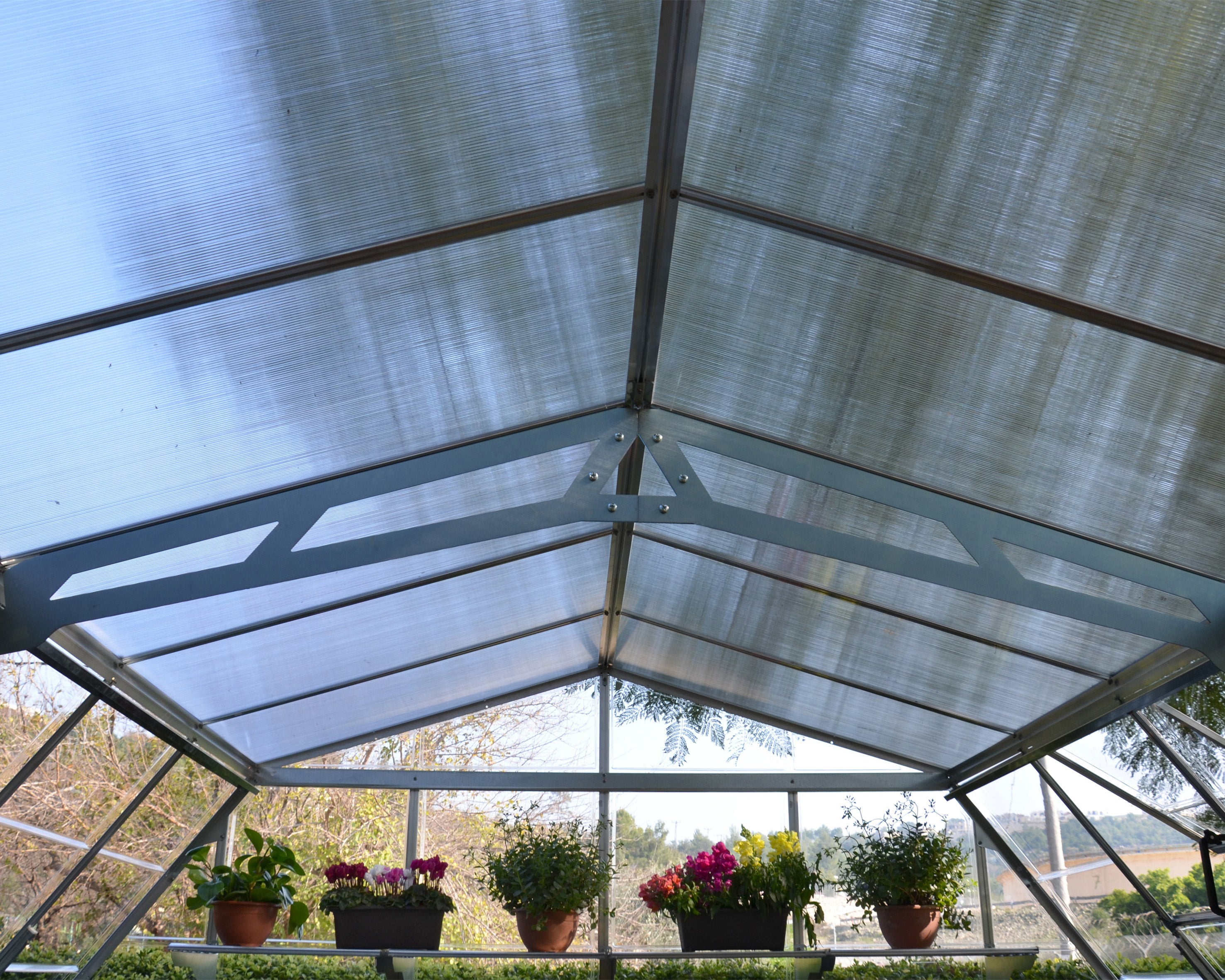 Canopia Americana 12' x 12' Greenhouse