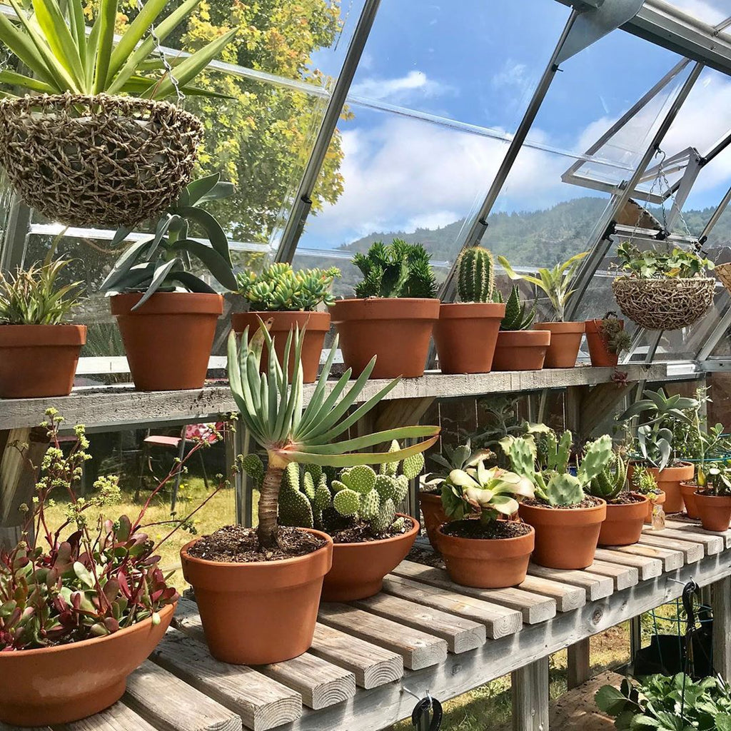 Canopia Americana 12' x 12' Greenhouse