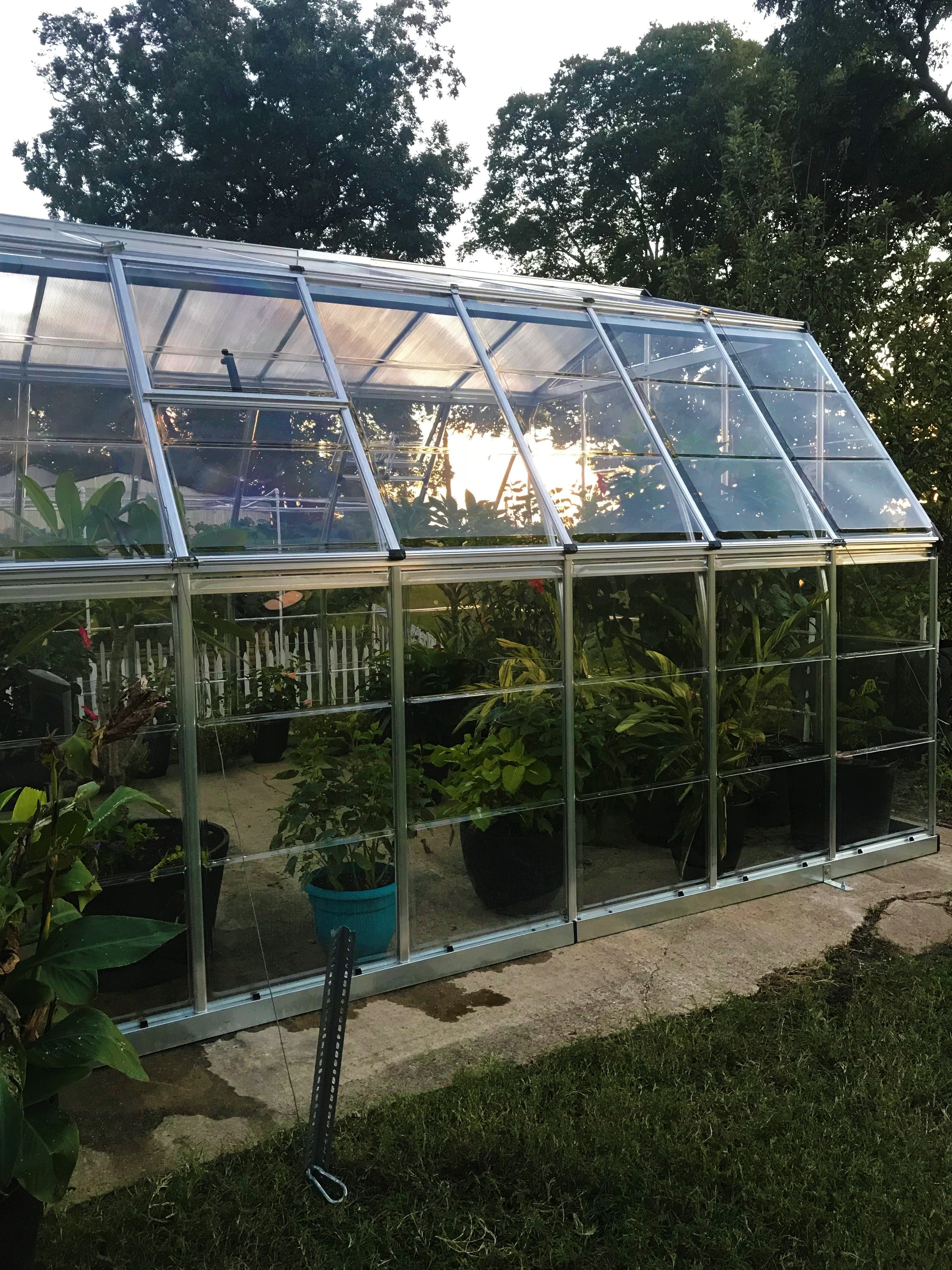 Canopia Americana 12' x 12' Greenhouse