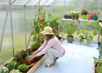 Canopia Essence Greenhouse