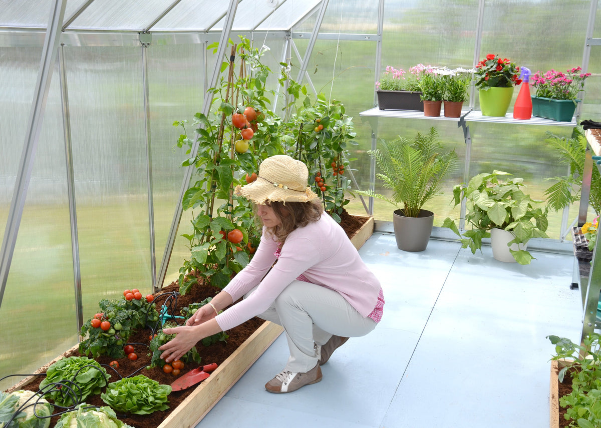 Canopia Essence Greenhouse