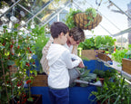 Canopia Hybrid 6' x 4' Greenhouse - Silver/Green/Gray