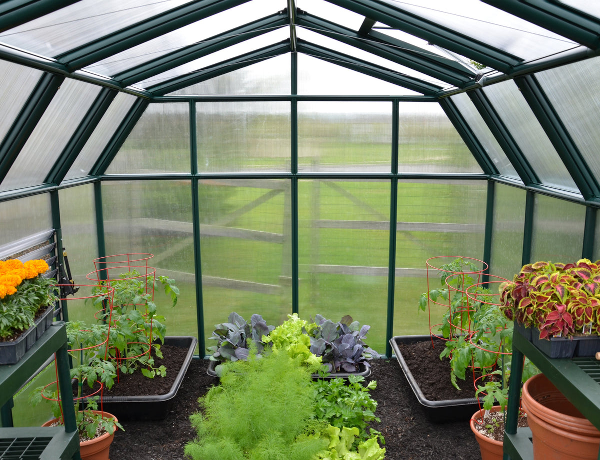 Canopia Hobby Gardener 8' Greenhouse