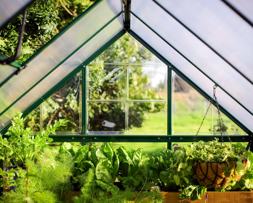 Canopia Hybrid 6' x 10' Greenhouse - Silver/Green/Gray