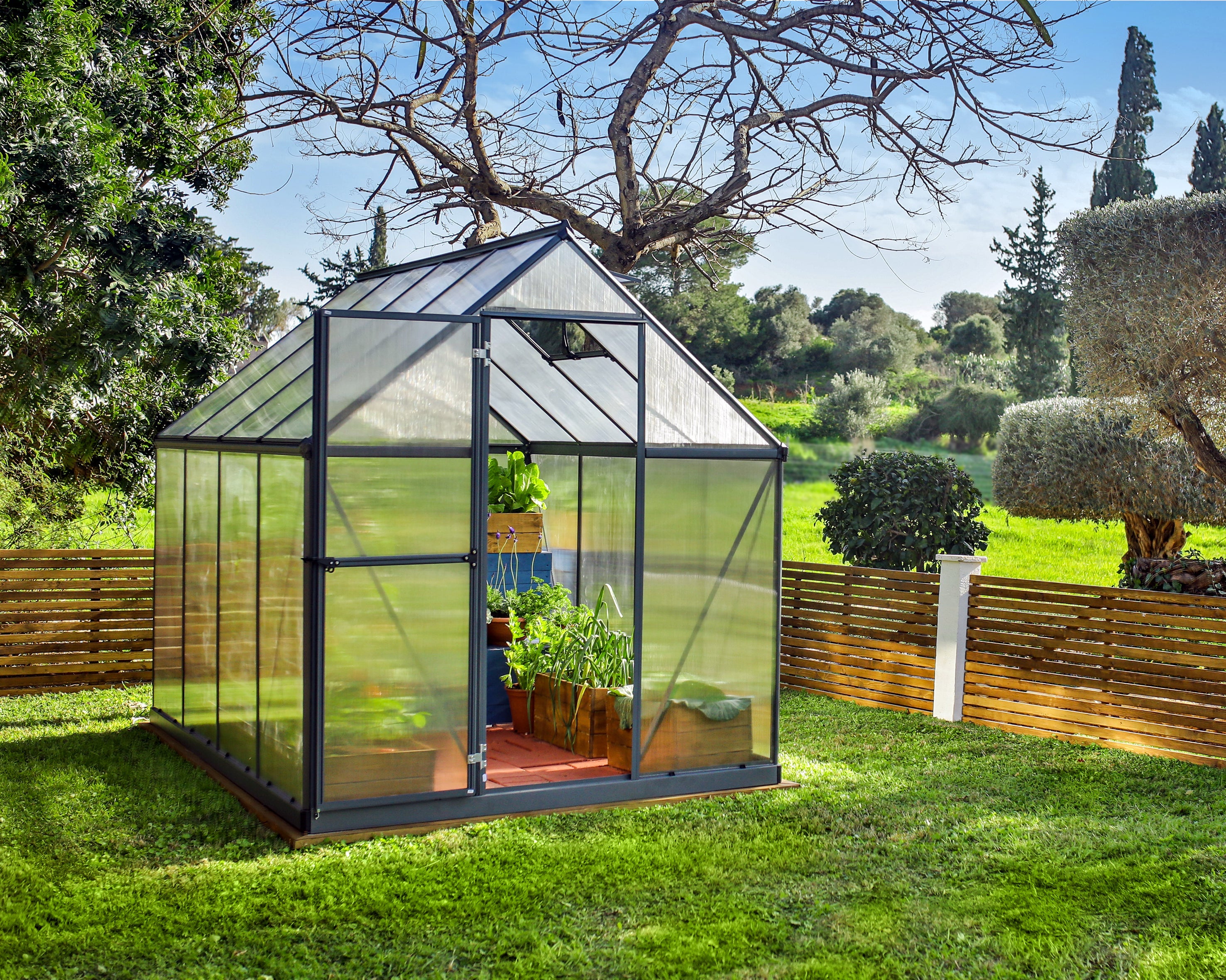Canopia Mythos 6' x 8' Greenhouse - Silver/Green/Gray