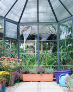 Canopia Oasis Hex Greenhouse