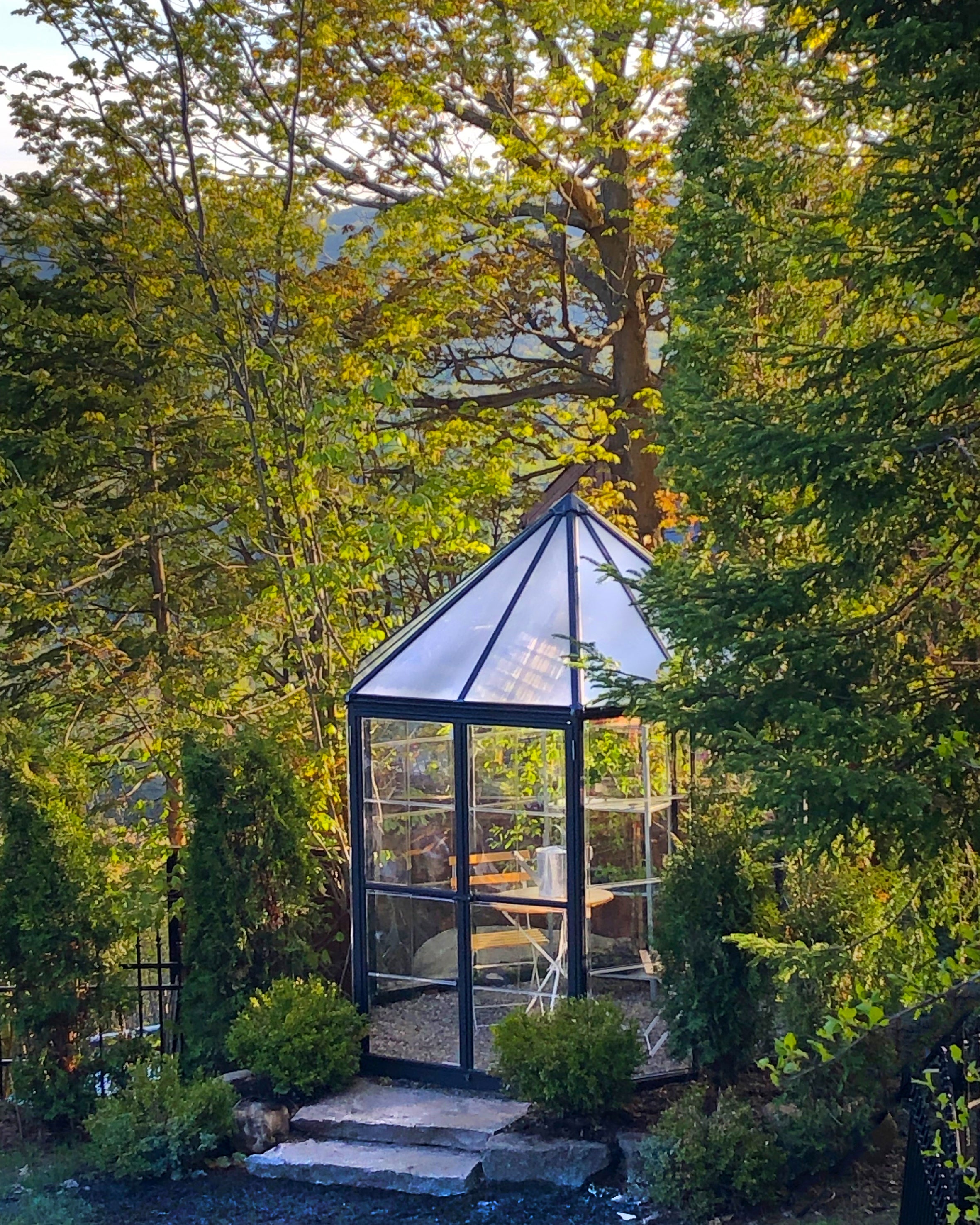 Canopia Oasis Hex Greenhouse
