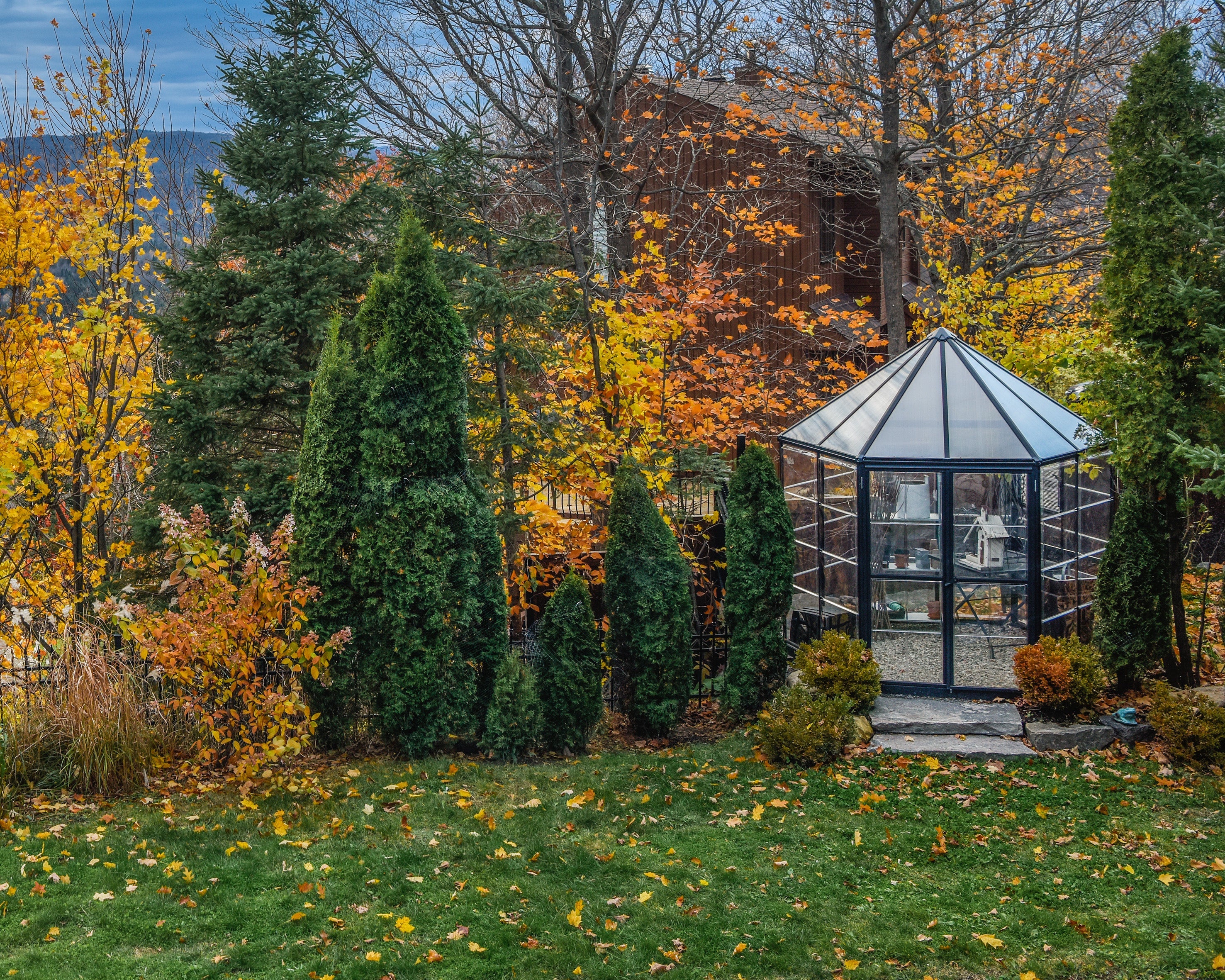 Canopia Oasis Hex Greenhouse