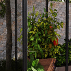 Canopia Ivy 4' x 2' Mini Greenhouse - Black