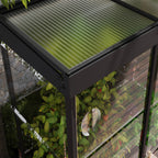Canopia Ivy 4' x 2' Mini Greenhouse - Black