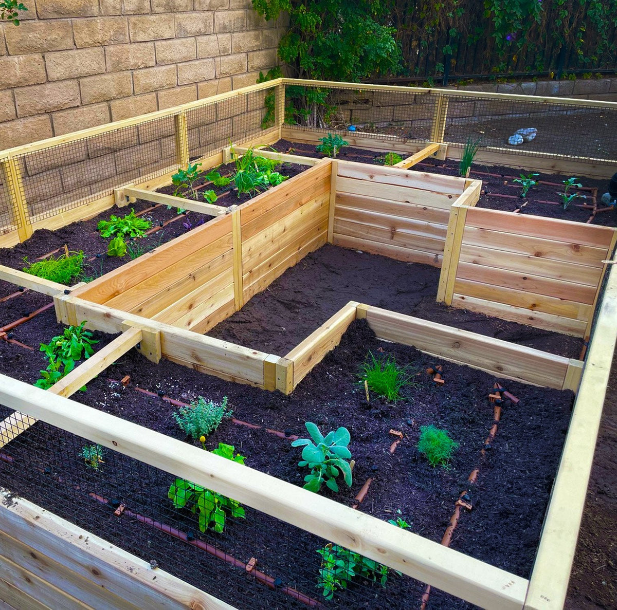 Outdoor Living Today Garden in a Box with Deer Fence | 12×8
