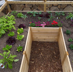 Outdoor Living Today Garden in a Box with Deer Fence | 8×8