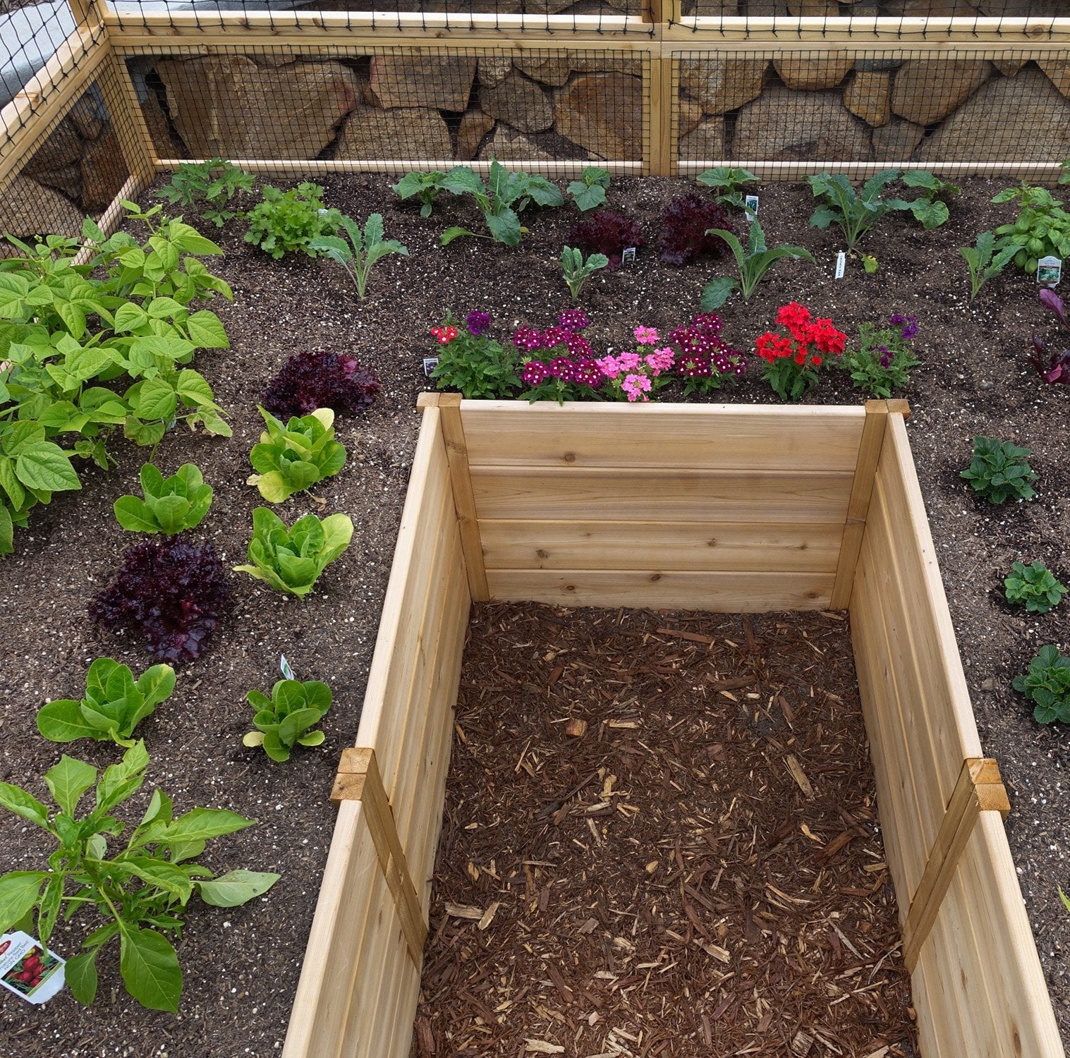 Outdoor Living Today Garden in a Box with Deer Fence | 8×8
