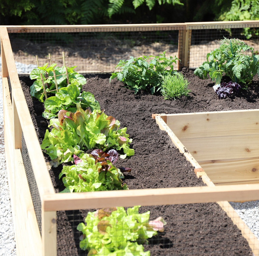Outdoor Living Today Garden in a Box with Deer Fence | 8×8