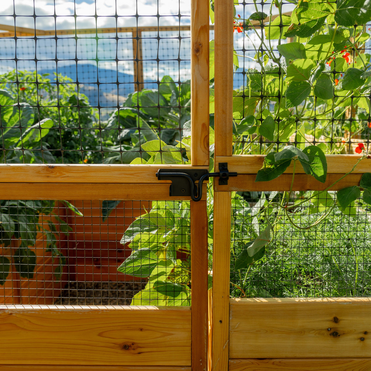 Outdoor Living Today Garden in a Box with Deer Fence | 12×8