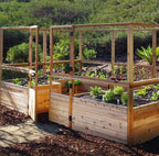 Outdoor Living Today Garden in a Box with Deer Fence | 12×8