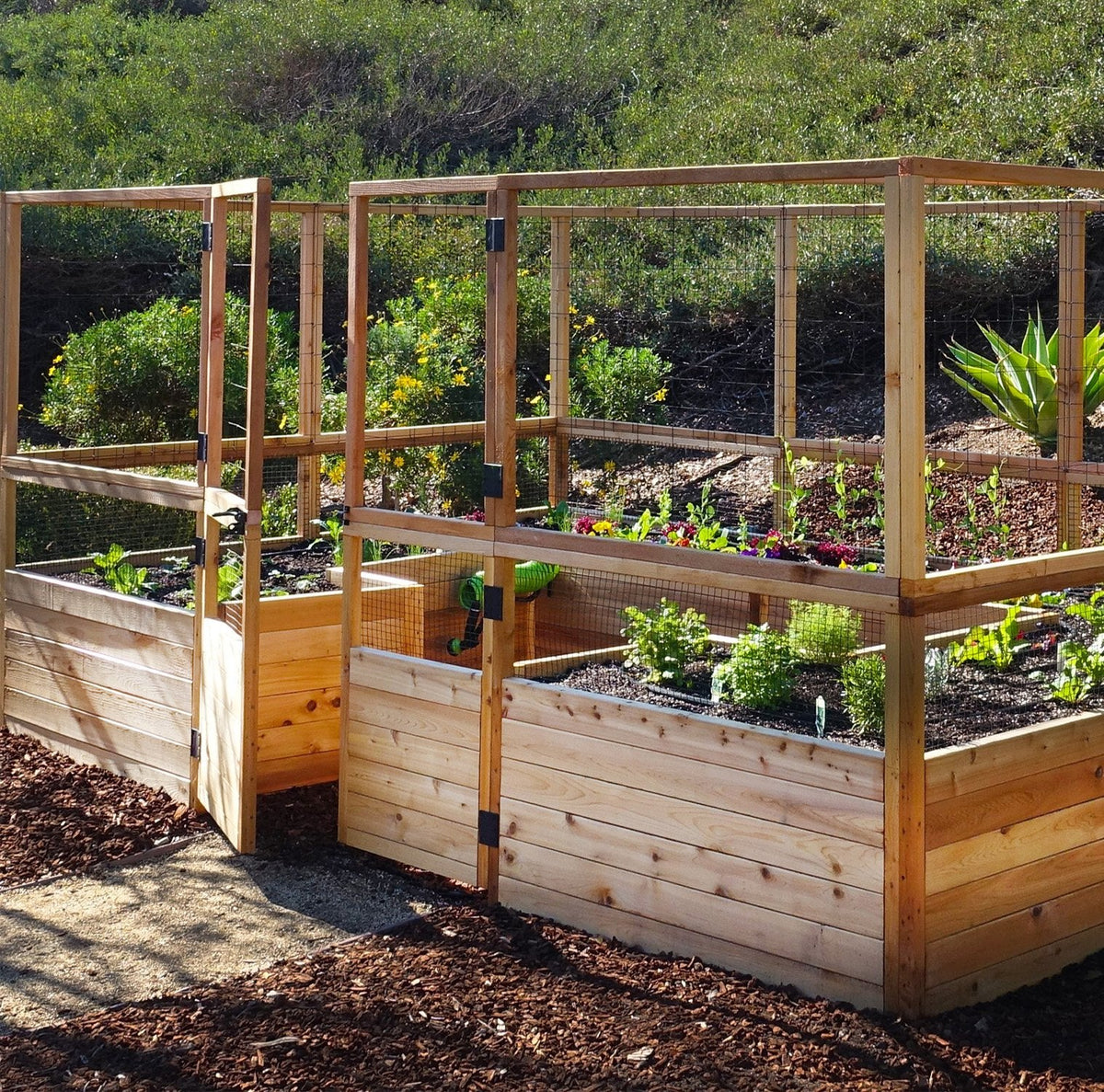 Outdoor Living Today Garden in a Box with Deer Fence | 12×8