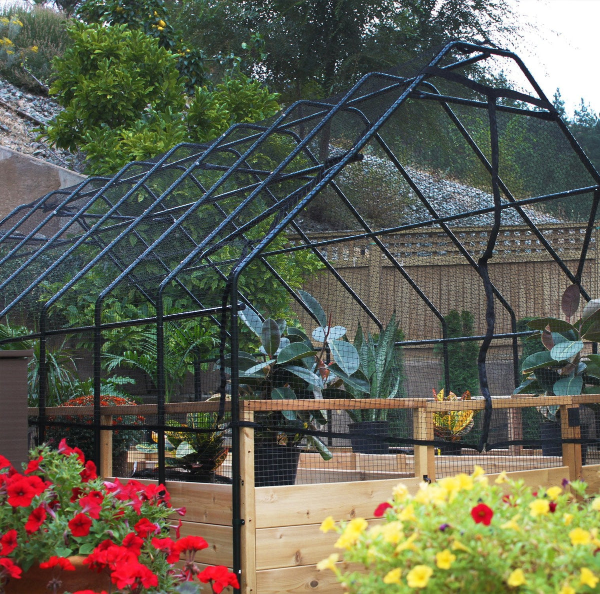 Outdoor Living Today Garden in a Box With Birdnetting Cover | 8 x 8