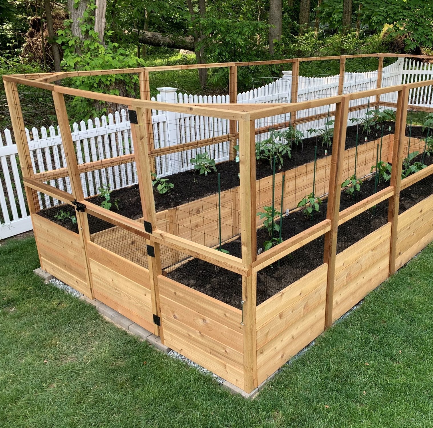 Outdoor Living Today Garden in a Box with Deer Fence | 8 x 16