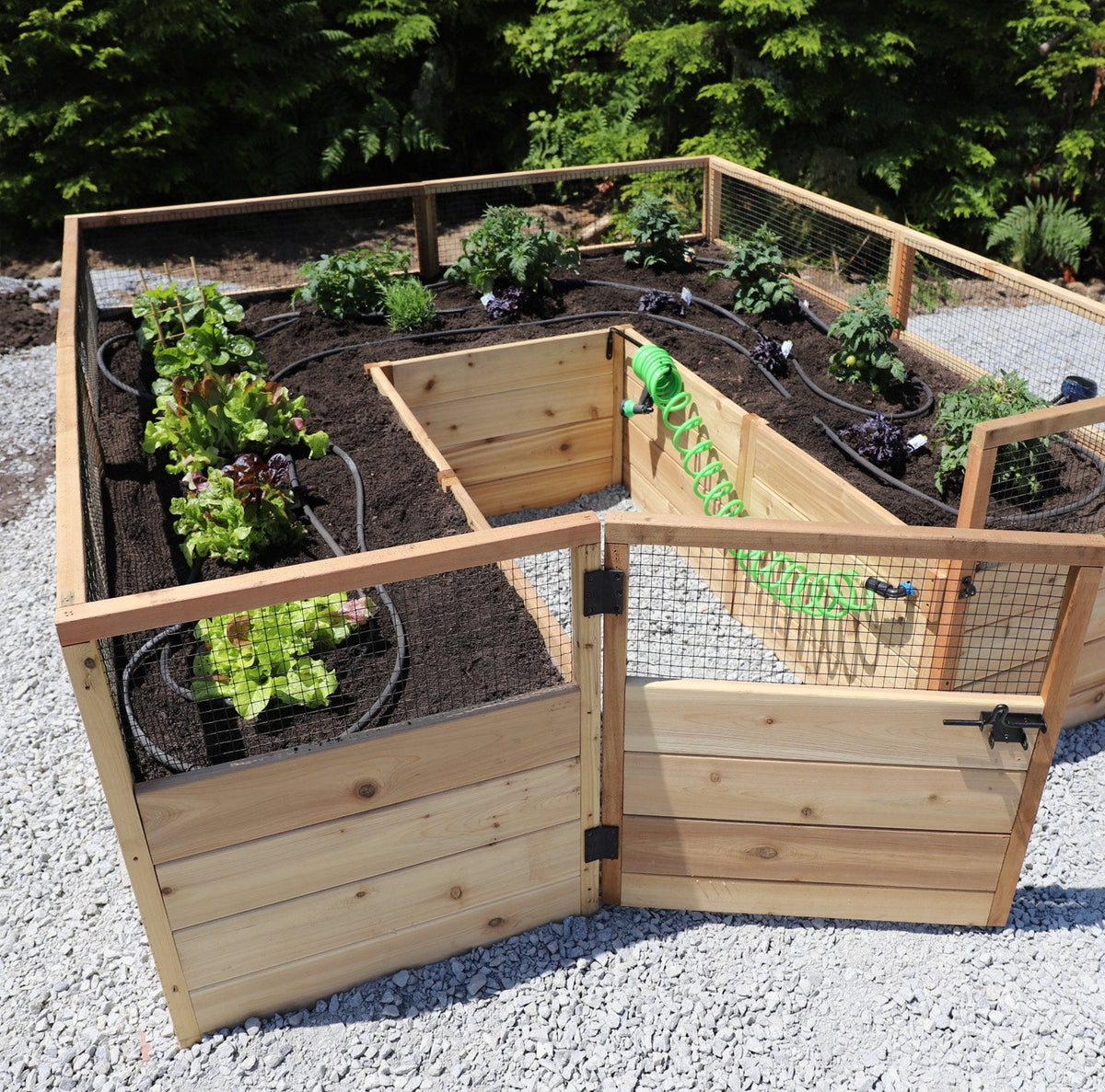 Outdoor Living Today Garden in a Box with Deer Fence | 8×8