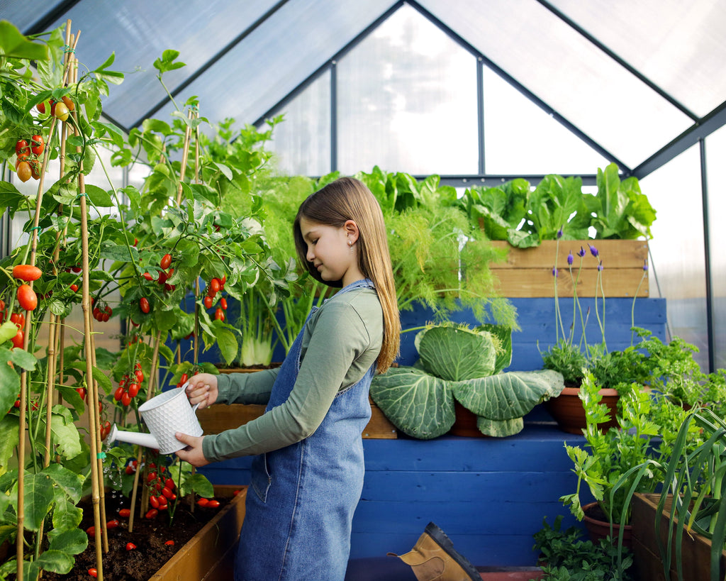 Canopia Mythos 6' x 10' Greenhouse - Silver/Green/Gray