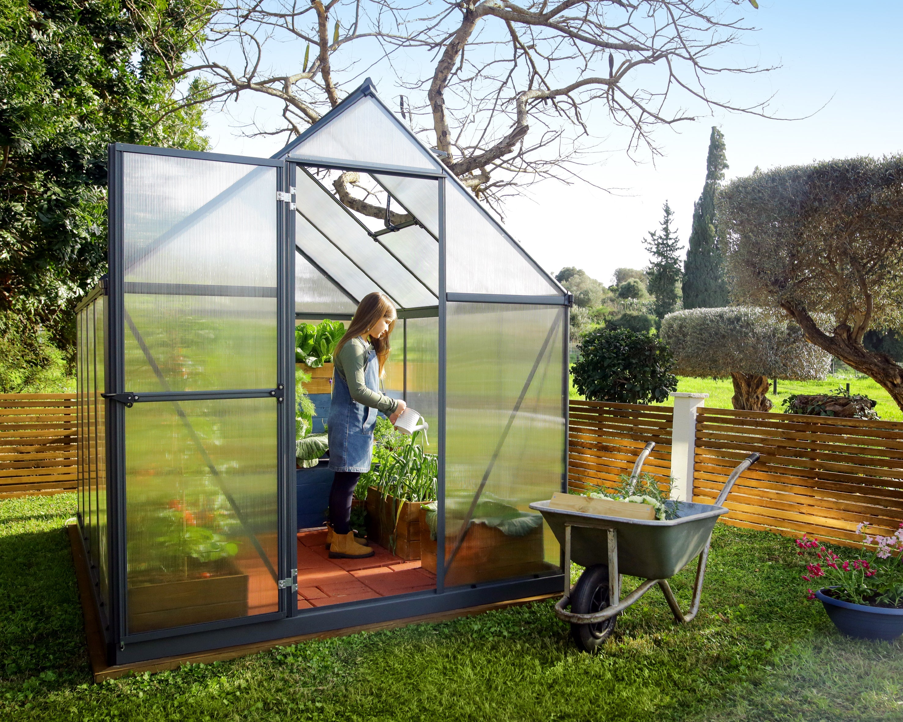Canopia Mythos 6' x 10' Greenhouse - Silver/Green/Gray