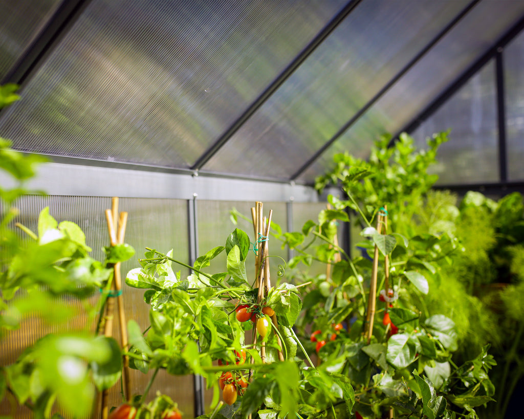 Canopia Mythos 6' x 10' Greenhouse - Silver/Green/Gray
