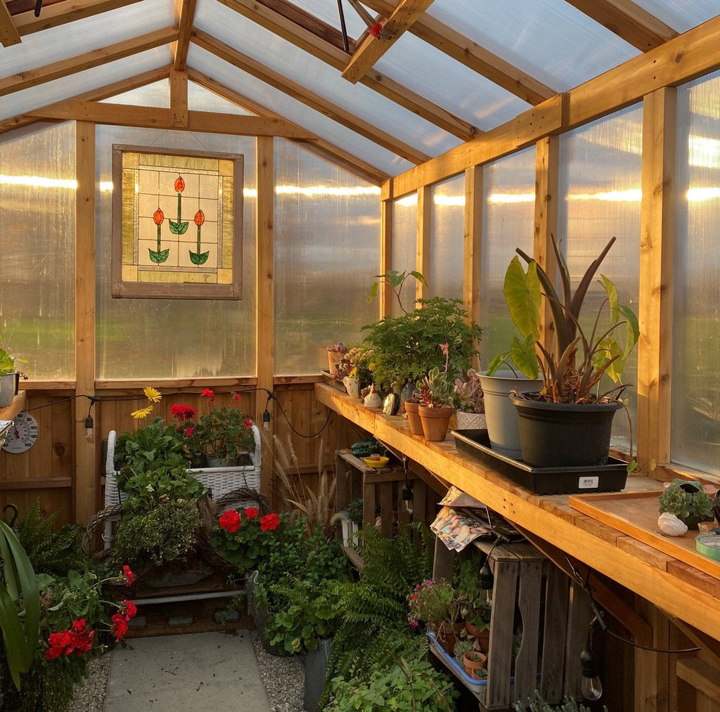 Outdoor Living Today Cedar Greenhouse | 8×12