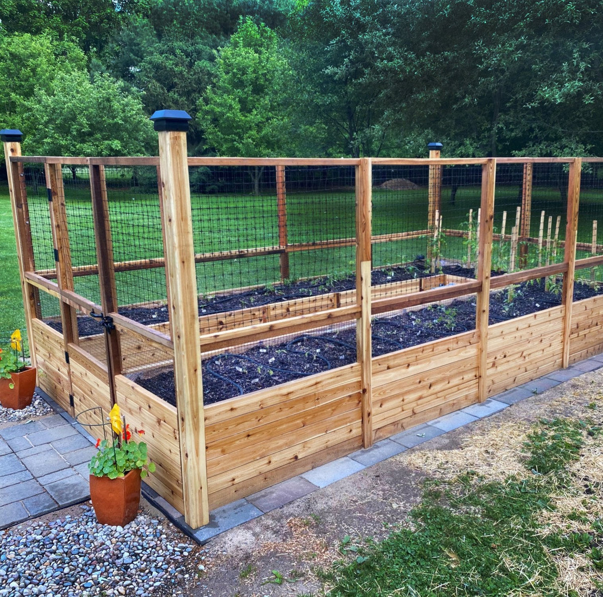 Outdoor Living Today Garden in a Box with Deer Fence | 8 x 16