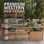 Outdoor Living Today Garden in a Box With Birdnetting Cover | 8 x 8