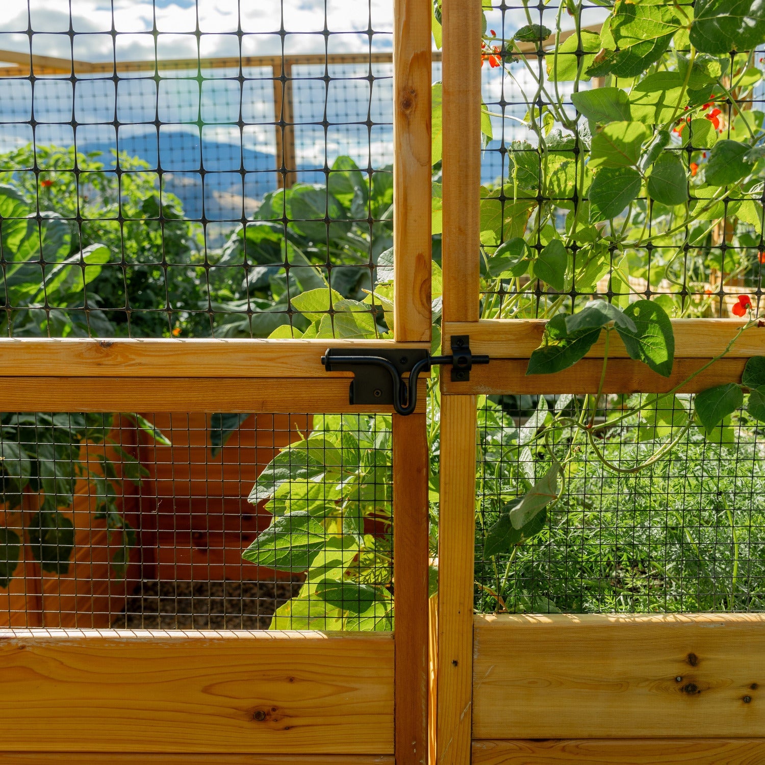 Outdoor Living Today Garden in a Box with Deer Fence | 8×8