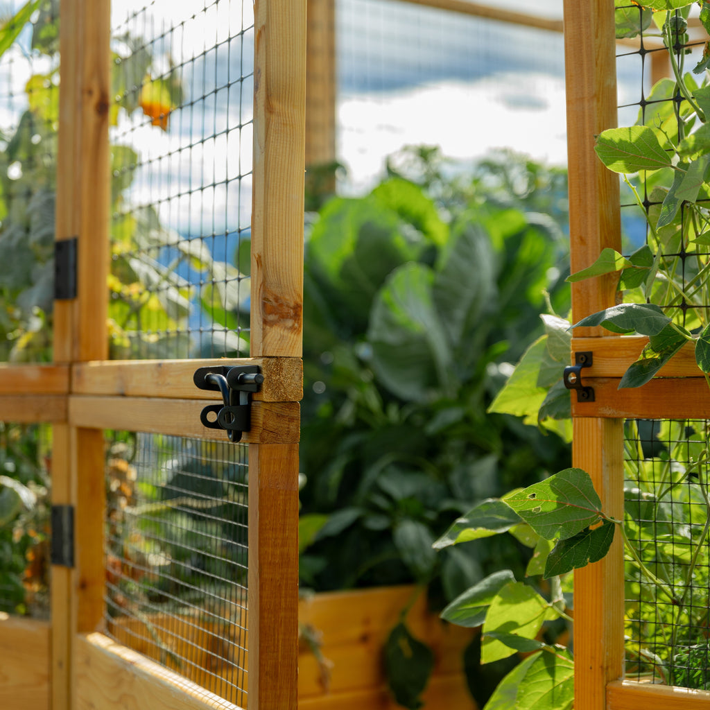 Outdoor Living Today Garden in a Box with Deer Fence | 8×8