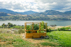 Outdoor Living Today Garden in a Box with Deer Fence | 8×8
