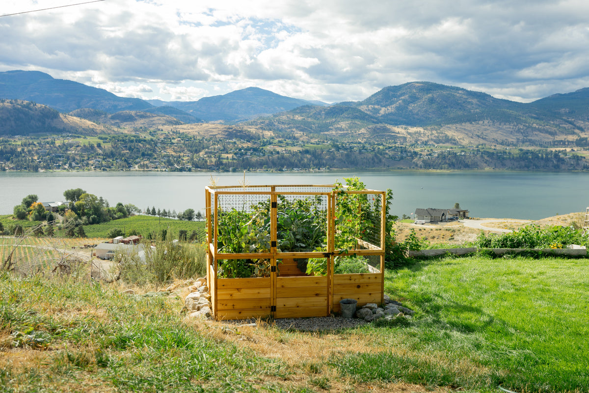 Outdoor Living Today Garden in a Box with Deer Fence | 8×8