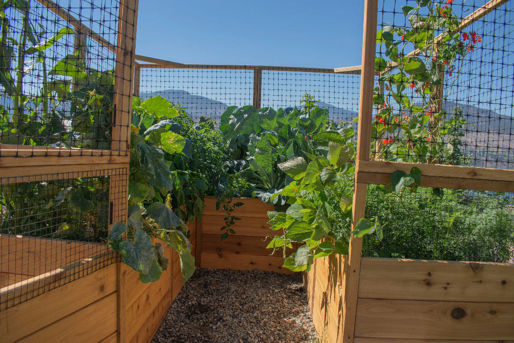 Outdoor Living Today Garden in a Box with Deer Fence | 8×8