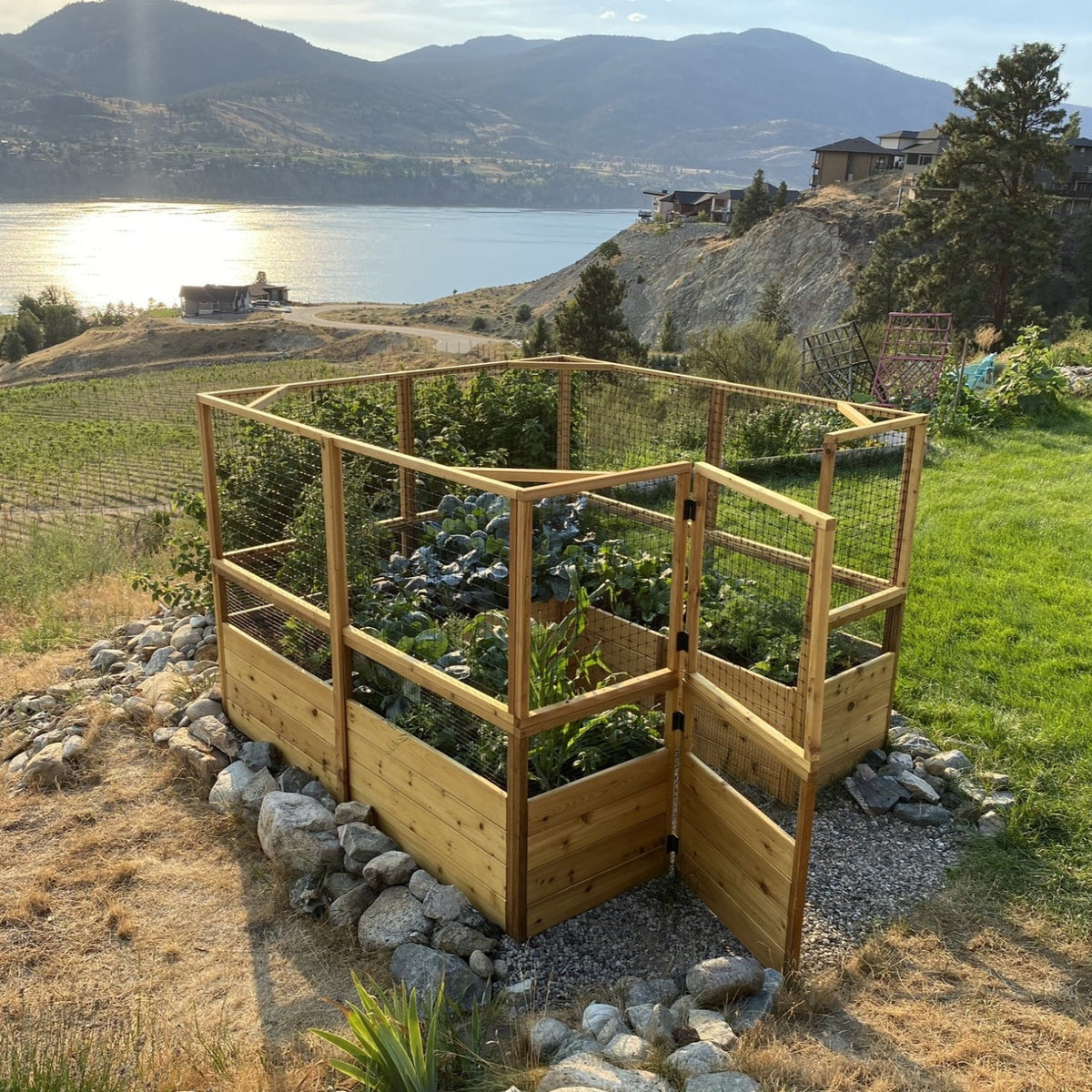 Outdoor Living Today Garden in a Box with Deer Fence | 8×8