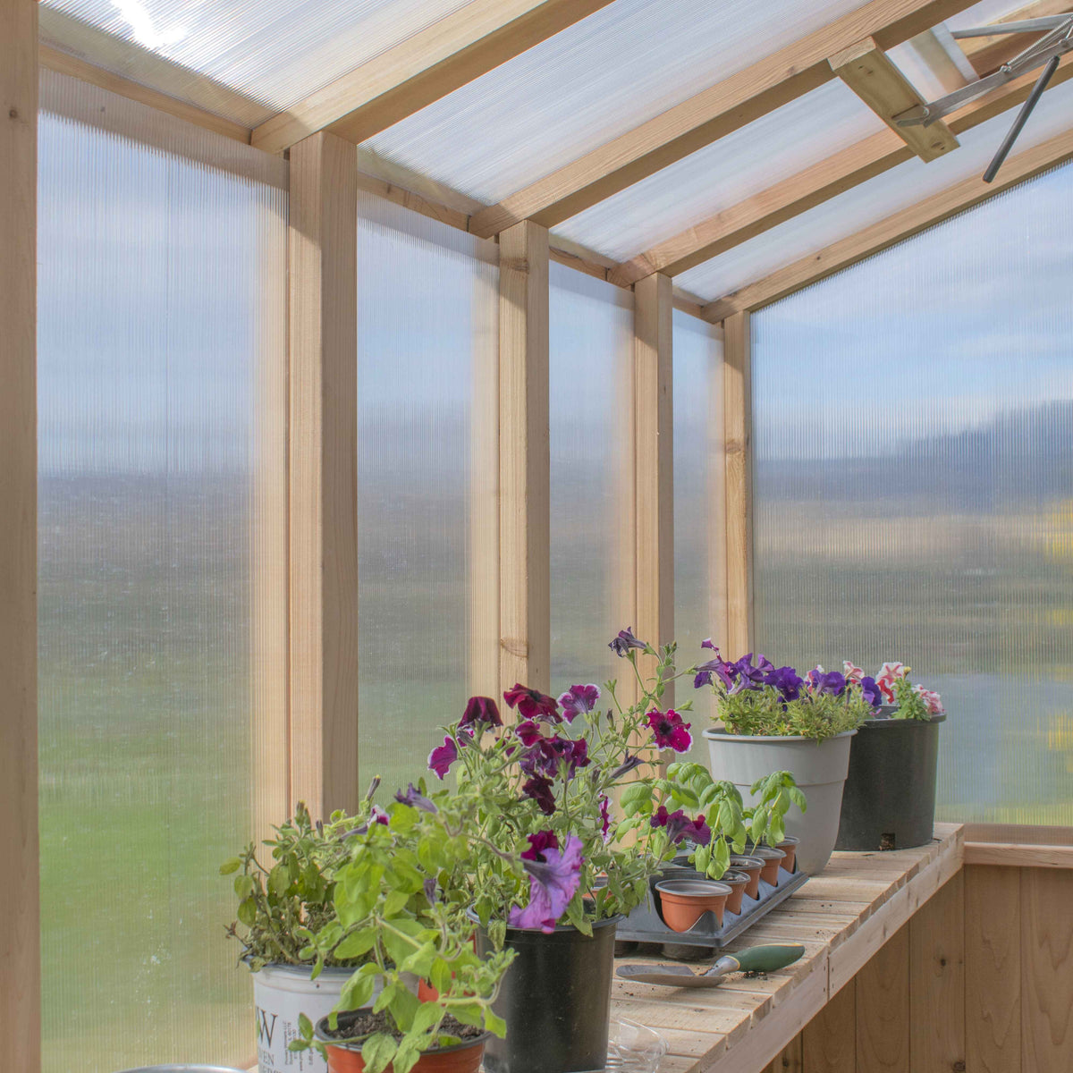 Outdoor Living Today Cedar Greenhouse | 8×12