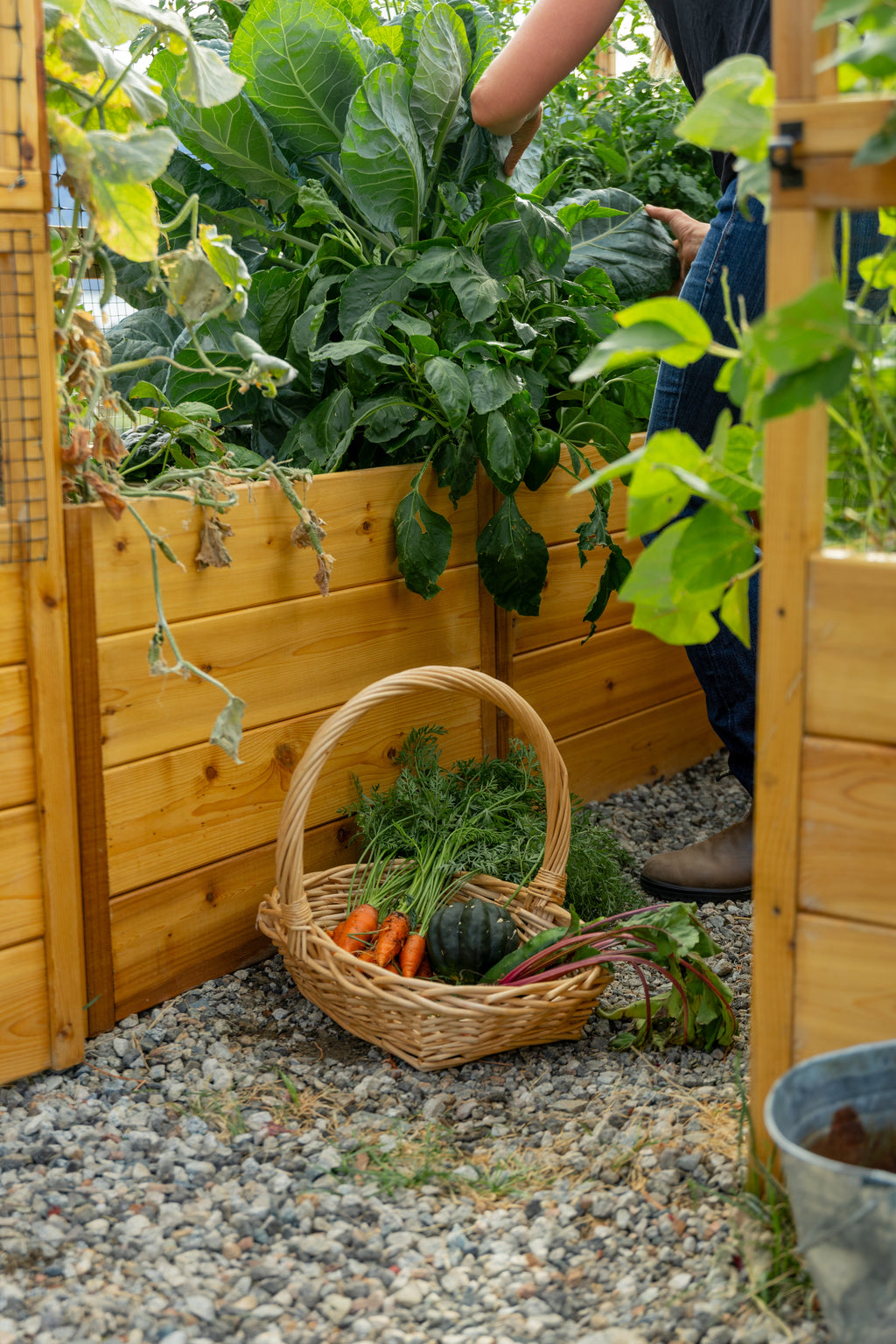 Outdoor Living Today Garden in a Box with Deer Fence | 8×8