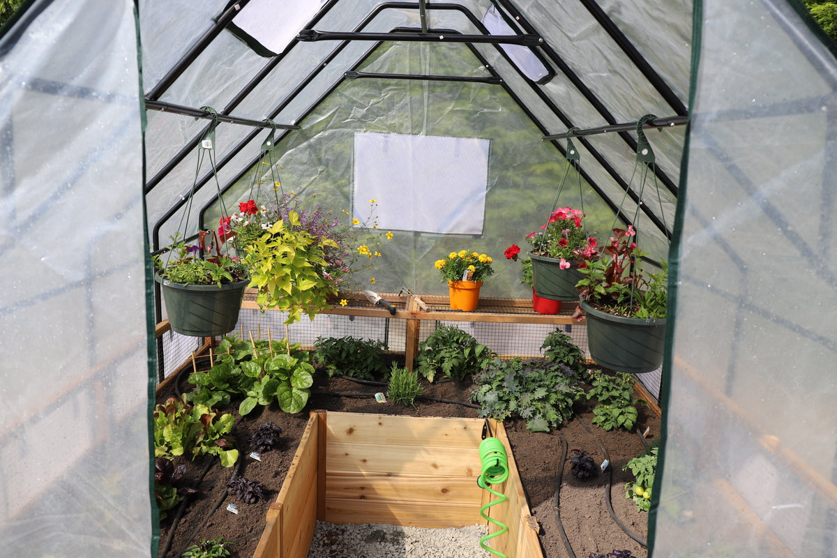 Outdoor Living Today Garden In a Box | 8 x 8 with Greenhouse