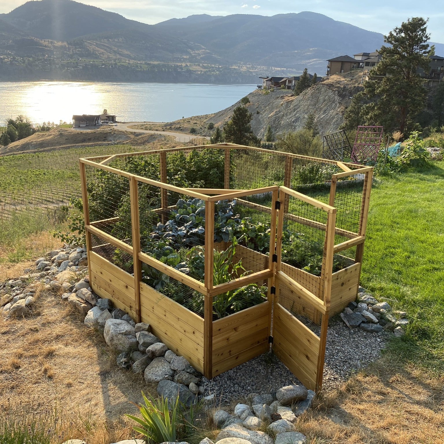 Outdoor Living Today Garden in a Box with Deer Fence | 8×8