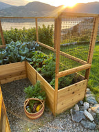 Outdoor Living Today Garden in a Box with Deer Fence | 8×8