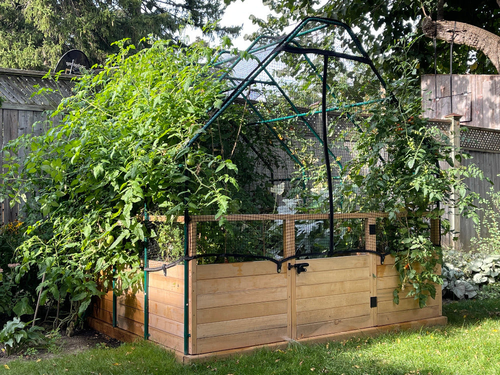 Outdoor Living Today Garden in a Box With Birdnetting Cover | 8 x 8