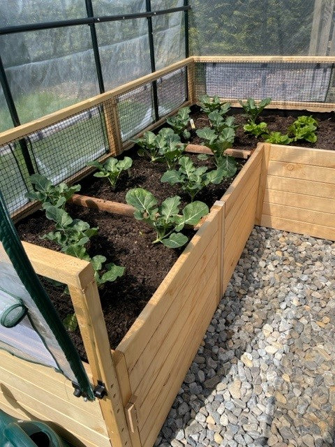 Outdoor Living Today Garden In a Box | 8 x 8 with Greenhouse