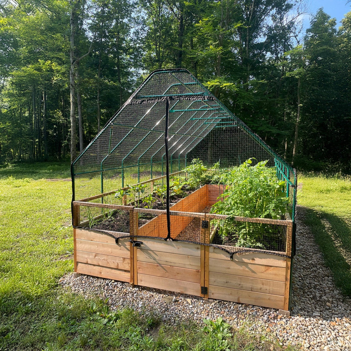 Outdoor Living Today Garden in a Box with Birdnetting Cover | 8 x 16