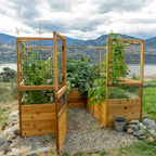 Outdoor Living Today Garden in a Box with Deer Fence | 8×8