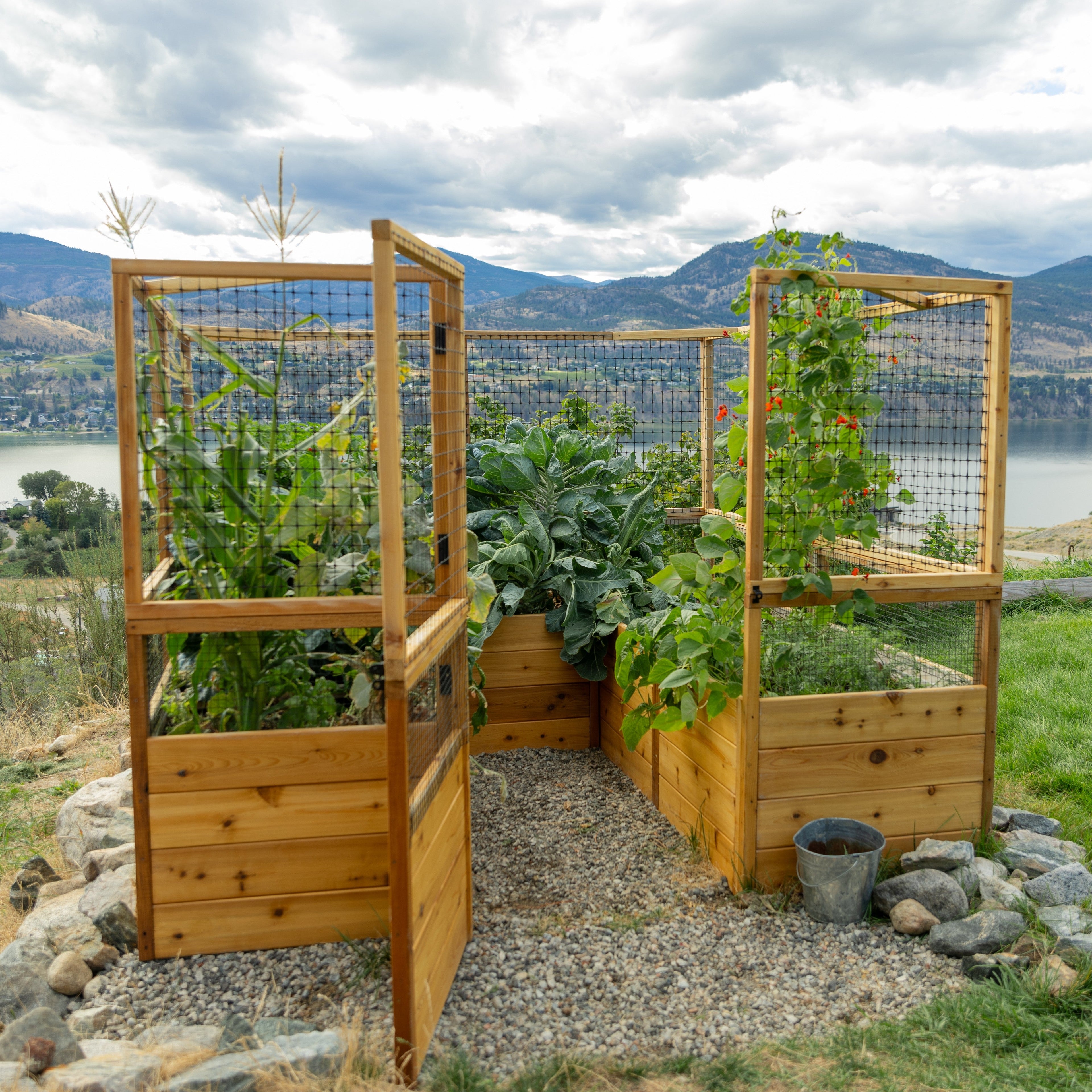 Outdoor Living Today Garden in a Box with Deer Fence | 8×8